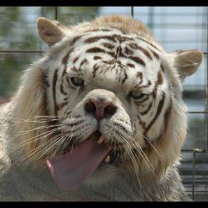 Meet your Posher, Lance